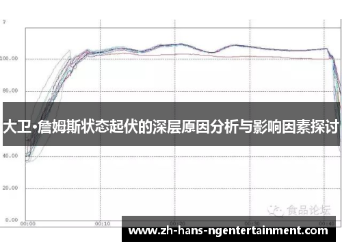 大卫·詹姆斯状态起伏的深层原因分析与影响因素探讨